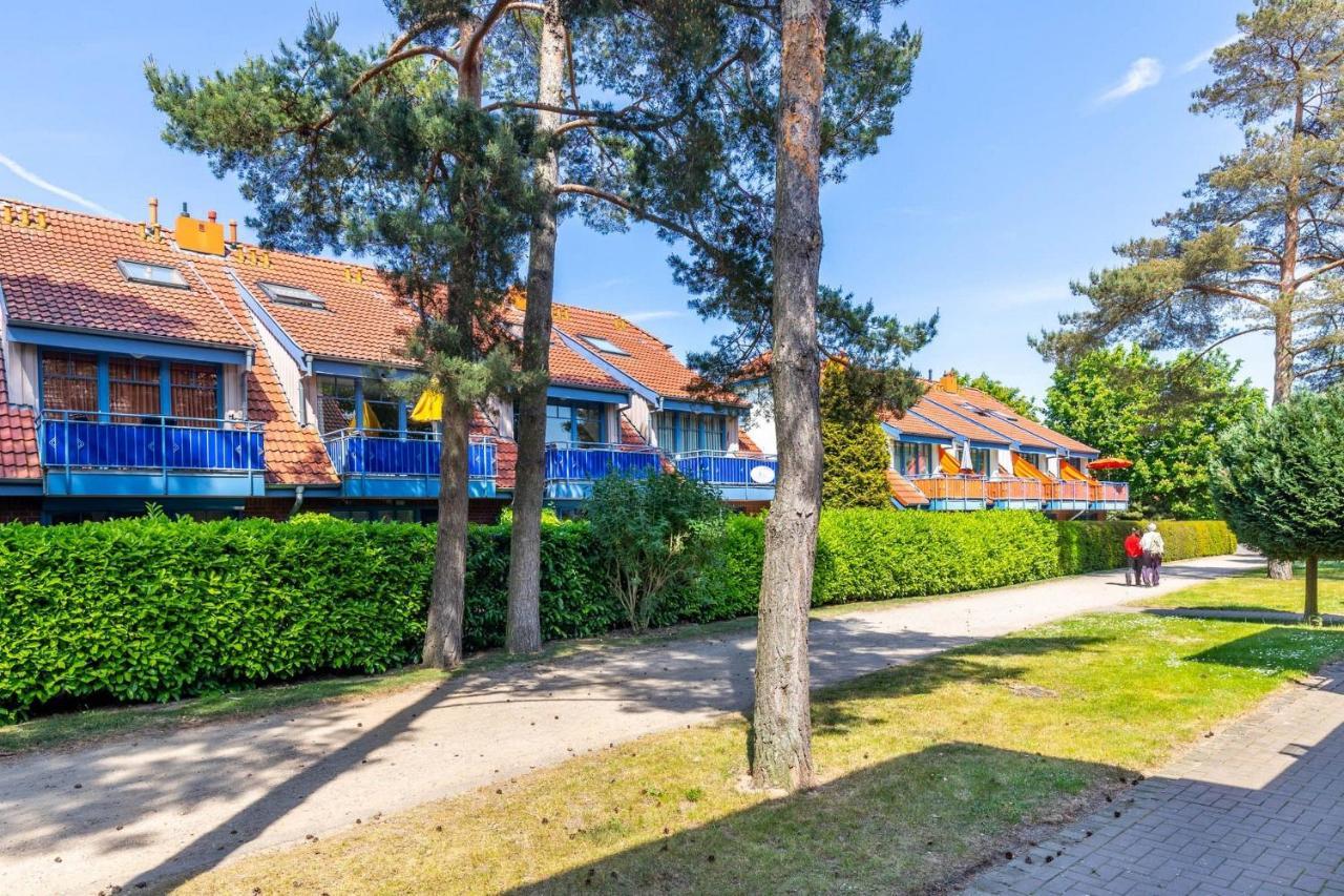 Papillon 9-5 Wohnung "Ostseefeeling" بولتينهاجين المظهر الخارجي الصورة